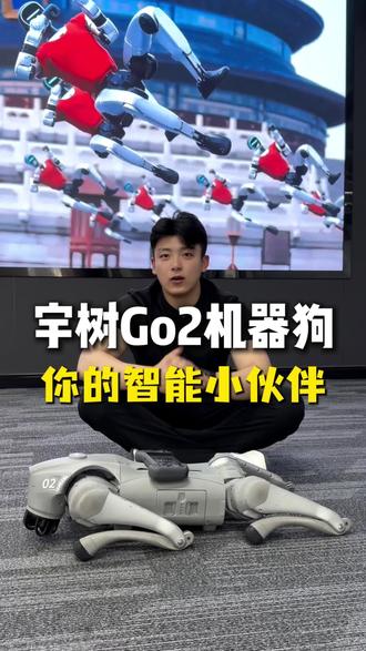 宇树Go2机器狗的基础功能操作展示~#宇树机器狗 #宇树go2 #机器狗租赁 #机器狗玩具