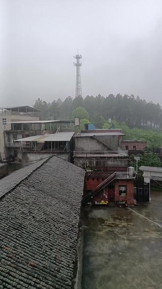 社會乱象已丛生,禽兽衣冠扮作人。道德全被利透渗,尘间多少假和真。