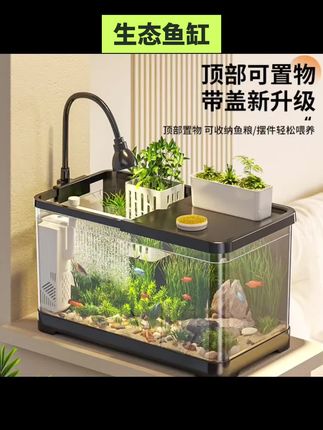 #鱼缸 #生态缸 阔庭鱼缸小型客厅2025新款造景生态缸过滤制氧一体机金鱼底滤系统 #生态鱼缸 #小型桌面鱼缸 #鱼缸里的大自