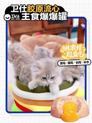 给咱俩小咪花点小钱怎么啦!小猫咪懂什么,她只知道每天吃点好吃的就幸福啦#卫仕#猫罐头 #宠物食品 #养猫 #萌宠好物