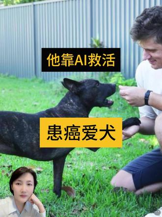 他靠AI救活患癌爱犬 他靠AI救活患癌爱犬#AI #真实事件 #狗狗 #治病 #chatgpt