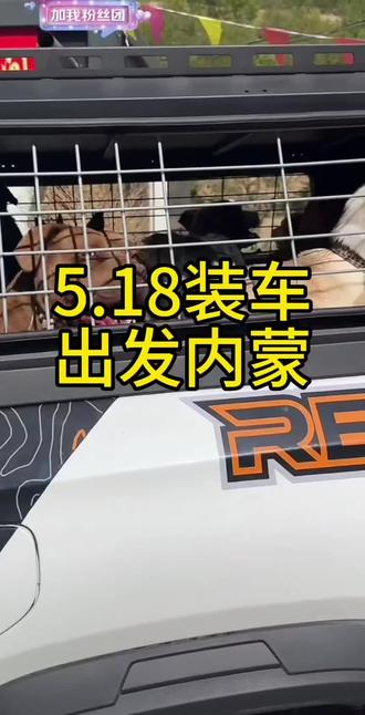 5.18雨哥点狗装车出发内蒙,预计明天中下午到目的地,到时直播卸狗。暂定干个三年再回来…舍不得,但理解。希望一切顺利,全员平安归来!!!#西北刀客 #西北刀客内蒙 #西北刀客雨哥 #西北刀客战队