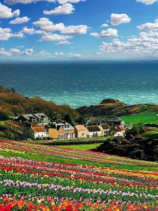 #穿搭 #显瘦穿搭 #小个子穿搭 #夏季穿搭 #裤子