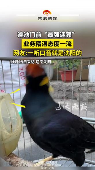 浴池门前“最强迎宾” 业务精湛态度一流 网友:一听口音就是沈阳的 (来源:@辽沈晚报 编辑:迟)#动物的迷惑行为 #动物成精