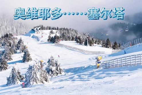 奥维耶多……塞尔塔