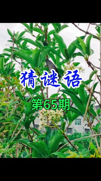 太阳出来喜洋洋,黑夜从此不猖狂。猜一字#猜谜语#猜字谜#每天跟我涨知识#每天学习一点点#脑洞大开@DOU+小助手