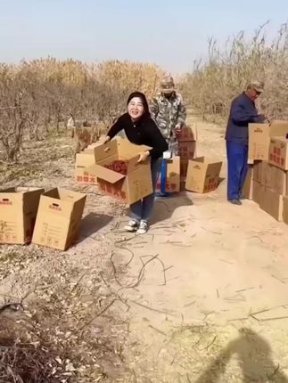 新疆大枣大个头肉厚核小和田红枣肉多核小很好吃#零食推荐 #追剧小零食 #这是啥呀这么好吃 #新疆红枣 #枣
