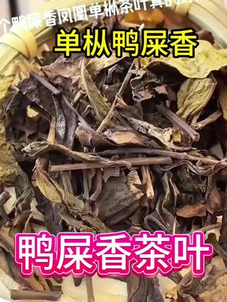 摆摊用的鸭屎香茶如何选择不踩坑? #摆摊柠檬茶 #鸭屎香 #自制饮品 a