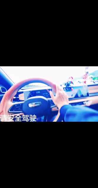 #副驾驶的高级领航员 你的副驾是啥样的?狂吃型。吃完就睡,睡醒接着吃😳