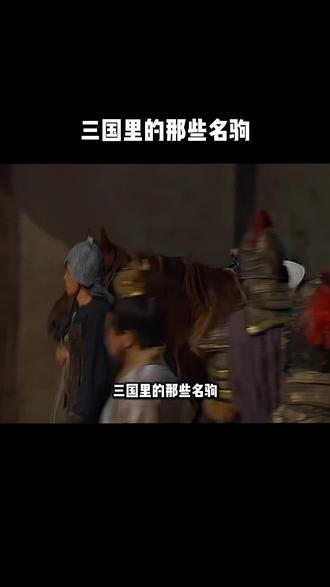三国里的名驹你最喜欢那一匹 #三国演义 #马 #的卢 #赤兔