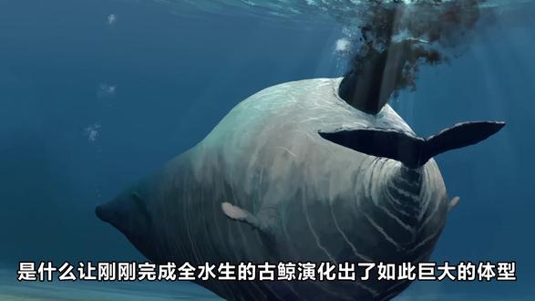 体重340吨,超越蓝鲸!2 最新发现的史前鲸类竟是地球有史以来最大的生物!