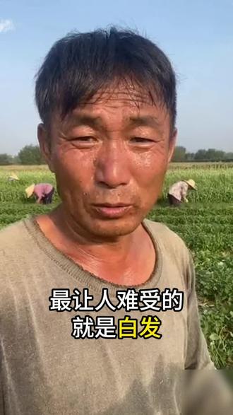 人生没有白走的路,每一步都算数。#平平淡淡 #日常生活 #白发结束了