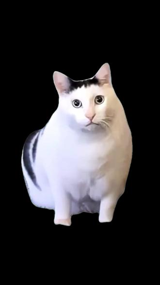 快来看看怎么个事! #汽水音乐