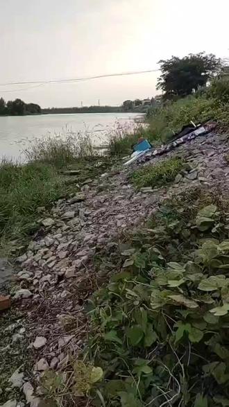 柘皋河全是浮萍,不好玩#钓鱼的乐趣只有钓鱼人懂