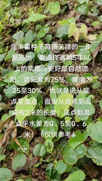 #野生药材 种植,抖音助农