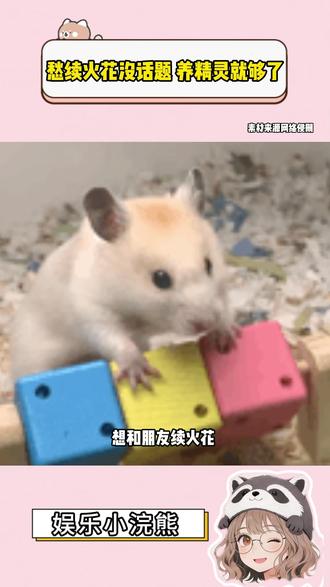 愁续火花没话题?养精灵就够了 #多闪app #小火人AI聊天 #多闪 #ai精灵