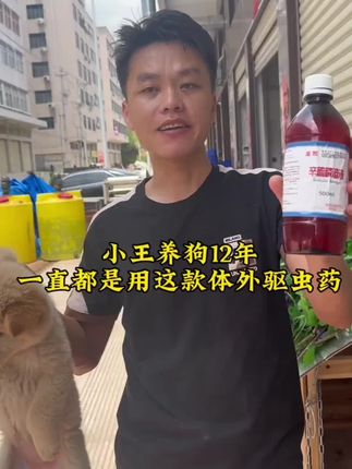 养狗不驱虫等于在养虫#原创视频 #养狗技术 #狗狗驱虫大作战#不务正业的养狗人