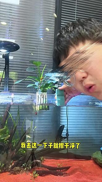 鱼缸水垢擦魔力擦清理内壁清洁工具无死角除水垢清洗神器清洁刷 #魔力擦 #鱼缸魔力擦 #除水垢擦 #鱼缸除水垢擦 #擦水痕水渍神器