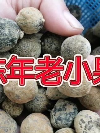 世界太假,人心太深,无奈看不清,人生一场戏,慌了人,凉了心。#每日分享 #强烈推荐 #抖音推广 #创业正能量 #乡村振兴dou行动