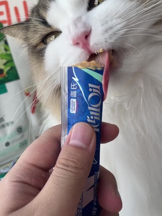蓝氏猫粮大羊毛来啦~大家抓紧薅,库存不多#养猫新手 #蓝氏猫粮 #蓝氏 #蓝氏乳鸽猫粮
