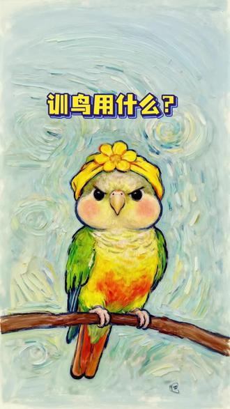训鹦鹉吃什么?它爱吃啥你用啥#鹦鹉 #鹦鹉小白 #训鸟高手 #手养鹦鹉 #鹦鹉训练