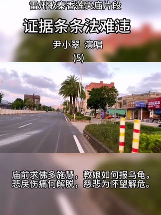 雷州歌秦香莲哭庙唱段:证据条条法难违(5)#雷州歌 #秦香莲#陈世美