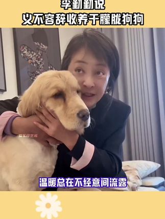 李勤勤说义不容辞收养于朦胧狗狗! 李勤勤说义不容辞收养于朦胧狗狗!此前她还收养了周海媚两只狗狗