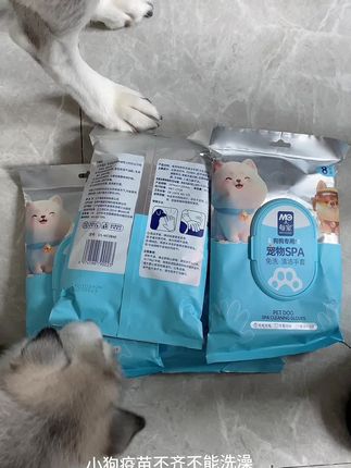 臭狗变香狗#萌宠出道计划 #每宠宠物免洗手套