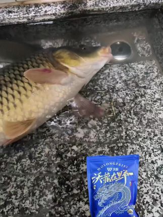 用对饵料,大鱼也能乖乖上钩!钓鱼佬必备神器,试试这款就知道!🐟🎣 #钓鱼必备 #渔具推荐