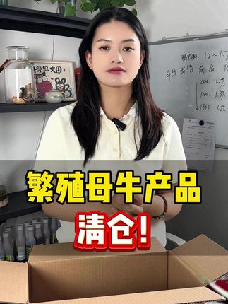 繁殖母牛专用牛保姆,清理库存,数量不多,抓紧薅羊毛 #牛价行情 #养牛人 #牛价走势 @DOU+小助手 @DOU+好生意 @抖音小助手