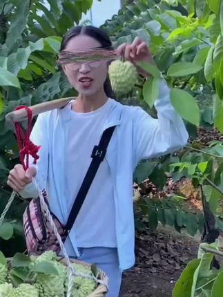 #新鲜应季水果#优质农产品#释迦果#牛奶凤梨释迦果#现摘现发新鲜到家@抖音小助手