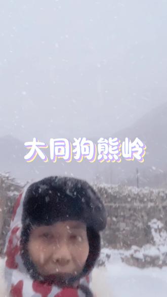 大同狗熊岭早鸟票开抢,9 .9 元一票通玩全场#大同狗熊岭#狗熊岭#大同游玩好去处