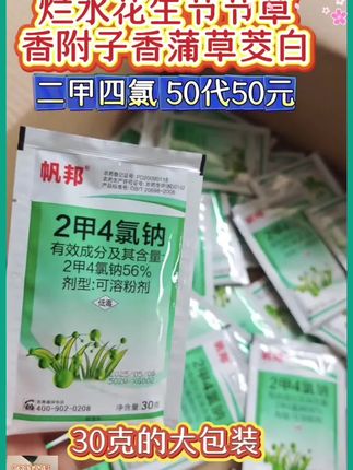 二甲四氯30克50袋50元出阔叶草及莎草科杂草 #农业种植 #水稻种植