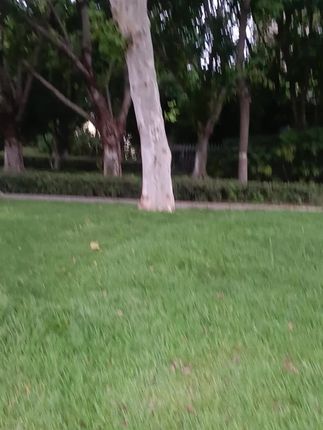 #生命在于运动一起锻炼吧 #公园景观 #出来走走放松一下心情