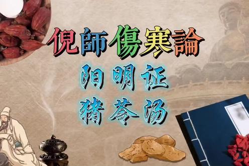 倪海厦《伤寒论》讲解(一三九)阳明症篇:猪苓汤。#伤寒论 #问止中医 #中医学习 #中医·中药