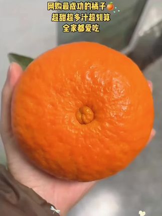 秋天的第一口蜜橘 皮薄如纸,肉质细嫩,酸 甜多汁,大鱼大肉后来一口蜜橘,超解腻呀,一口一口就像在喝橘子汁~#蜜橘 #橘子 #酸甜可口#新鲜应季水果#现摘现发新鲜到家