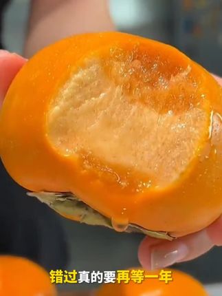 阳丰巧克力脆柿,脆甜可口,汁水丰沛,还富含华花清素#巧克力脆柿#脆柿子 #优质农产品