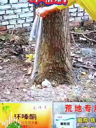 #环嗪酮除大树竹子灌木杂草 #环嗪酮#二农流量扶持计划#抖音推广