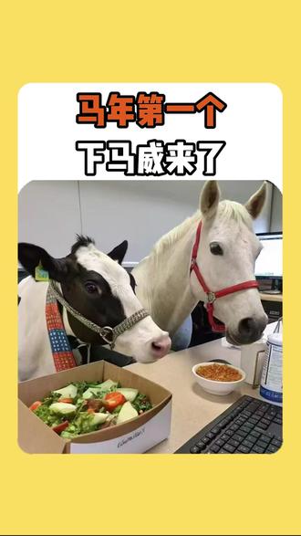 马年第一个下马威来了 #马年 #节假日 #节假日调休 #2026 #马年