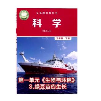 #探索科技奥秘 五下科学实验视频五年级下册第一单元《生物与环境》第3课绿豆苗的生长#科学教育 #科普教育 #科学生物