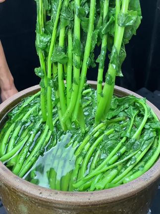 #腌萝卜缨#腌萝卜缨子 #腌萝卜缨子酸菜