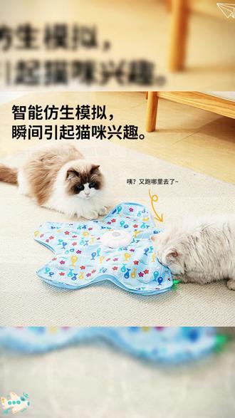 所有养猫人一定要注意这个蓝色五角星玩具!!真是慈母多败咪啊 #猫咪的日常 #捕猎玩具 #玩儿个很新的东西