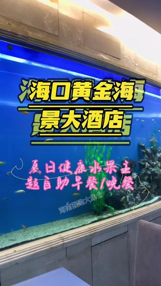 浪漫的人带上最爱的她一起去旋转餐厅吃浪漫自助餐咯!它真的在旋转,太美妙了!晚饭约起来咯!#替拉联盟@海南哪里吃 吃 #黄金海景360度观光餐厅 #好吃不贵经济实惠 #抖音美食推荐官 #跟着抖音来探店