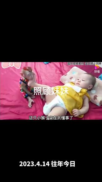 动物世界。动物是人类的朋友!