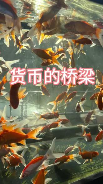 全球的经济发展基石是用什么搭建,欧元,亚元,美元之间的贸易如何平衡起来#知识分享 #财经知识 #商业思维 #国学传统文化 #源哥言商