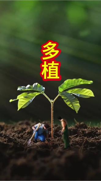 三一二到植树悦,补空消荒增绿接,齐参种下新祈望,固土防风改境谐。#312植树节 #记录我的种植生活 #共建美好家园 #诗墨写生#原刨诗书