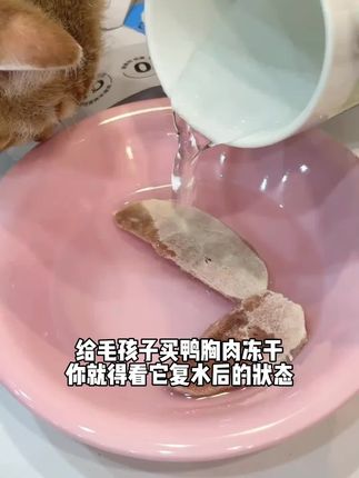 #喂猫 #养猫好物 #喂猫日记 #宠物零食