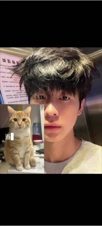 这个世界不能没有小猫咪#豆包 你还是太权威啦! 和猫猫相拥 和自家萌宠合照 和猫猫拥抱ai合照指令教程来啦! 豆包p图和猫猫合照#豆包ai#豆包出大片有两把刷子#豆包P图#狸花猫 小猫