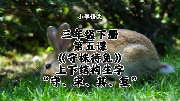 小学语文三年级下册第五课《守株待兔》上下结构生字“守、宋、其、复”字书写方法和要点讲解#小学语文#三年级下册语文#三年级下册语文同步生字