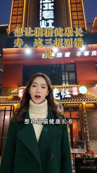 想让猫猫活过20岁?养生按摩加养胃食谱,这三招别错过! 蓉城江北老灶火锅#蓉城江北老灶火锅#养猫攻略#养猫经验分享#新手养猫#猫咪